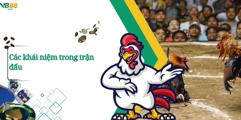 Các khái niệm trong trận đấu