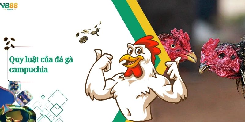 Xem Đá Gà Campuchia Trực Tuyến – Trận Đấu Nảy Lửa Chỉ Có Tại VB88 3 Quy luật của đá gà campuchia