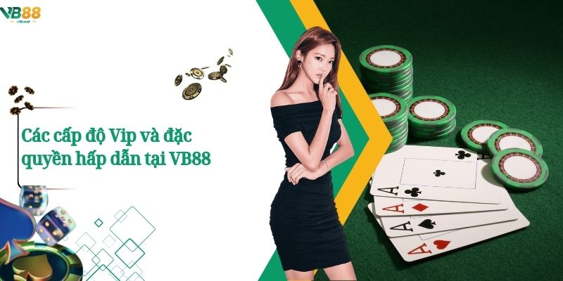 Đặc quyền VIP: Ưu đãi vượt trội chỉ có tại VB88 3 Các cấp độ Vip và đặc quyền hấp dẫn tại VB88