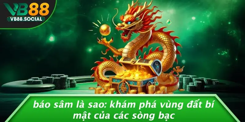 BÁO SÂM LÀ SAO: KHÁM PHÁ VÙNG ĐẤT BÍ MẬT CỦA CÁC SÒNG BẠC